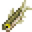 Minnow