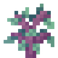 Oak Sapling