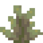 Green Bearberries