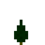Small Spruce Sapling