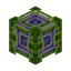 Lime Quantum Catcher
