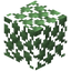 Slimy Leaves