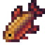 Brook Trout