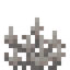 Dead Anchor Coral Fan