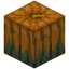 Overgrown Pumpkin