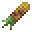 Roasted Corn on the Cob