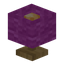 Magenta Lamp