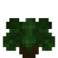 Tropical Garden