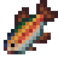 Rainbow Trout
