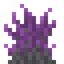 Muckweed