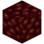 Eyed Nether Wart Block