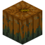 Overgrown Pumpkin