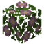 Flowering Leaves