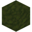 Smooth Moss Block
