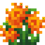 Fire Lily