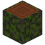 Overgrown Acacia Log