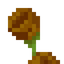 Tall Mystical Brown Flower