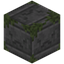 Crying Mossy Stone Bricks