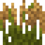 Prairie Grass