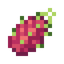 Dragon Fruit