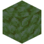Glowshroom Block
