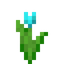 Cyan Tulip