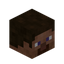 Player Head