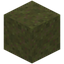 Overgrown Sand