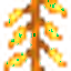 Glitterkelp Plant