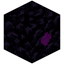 Obsidian Nest