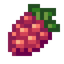 Raspberry