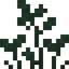 Sprout
