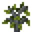 Ash Sapling