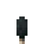 Inkcap Mushroom