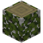 Overgrown Birch Log