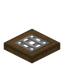 Iron Barred Spruce Trapdoor