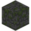 Runic Carved Mossy Stone Bricks