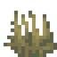 Tall Scorched Grass