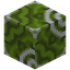 Green Glazed Terracotta