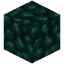 Voidflame Coal Block