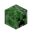 Creeper Head