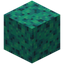 Spongy Warped Wart Block