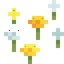 Wildflowers