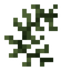 Baked Seaweed