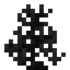 Thorn Coral