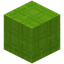 Stringed Lime Wool