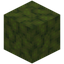 Blobby Moss Block