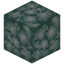 Bulbed Sea Lantern