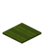 Rectangle Green Carpet