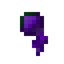 Witch Pupil